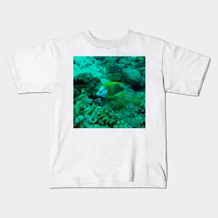 wrasse fish Kids T-Shirt